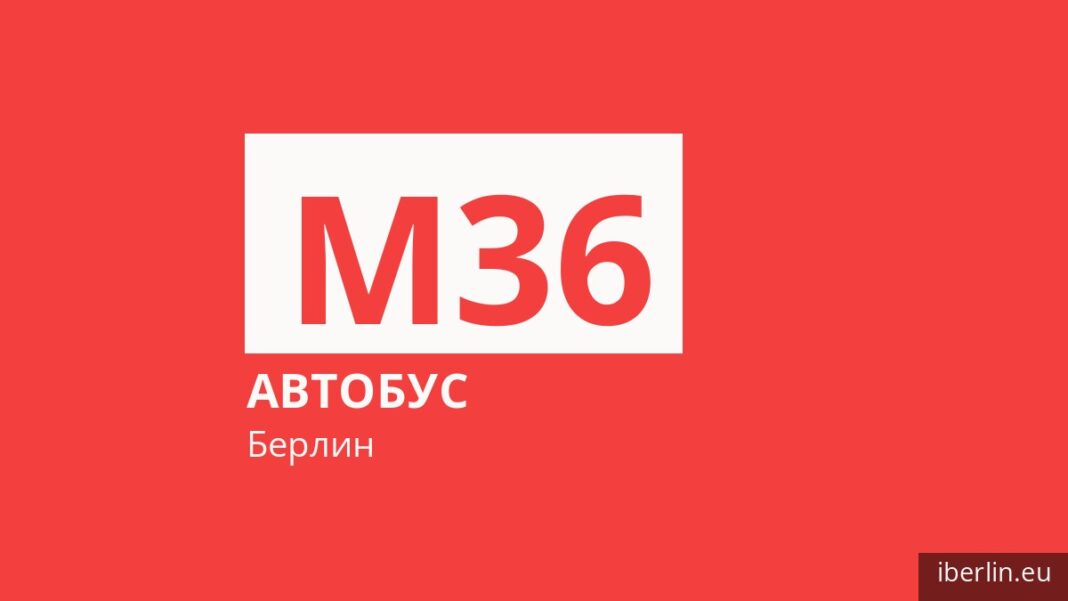 Автобус M36 в Берлине